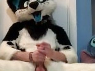 Furry shows off feet & fucks a plushie