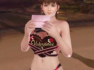 Dead or Alive Xtreme Venus Vacation Hitomi Valentine's Day Pose Cards Fanservice Appreciation